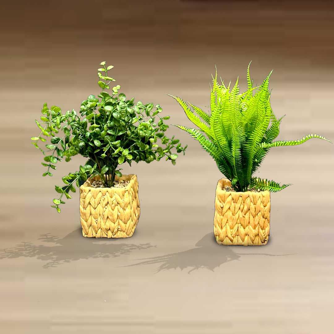 Artificial Herbs Woven Pots (2 Pcs Set) - Sunset Gifts Store