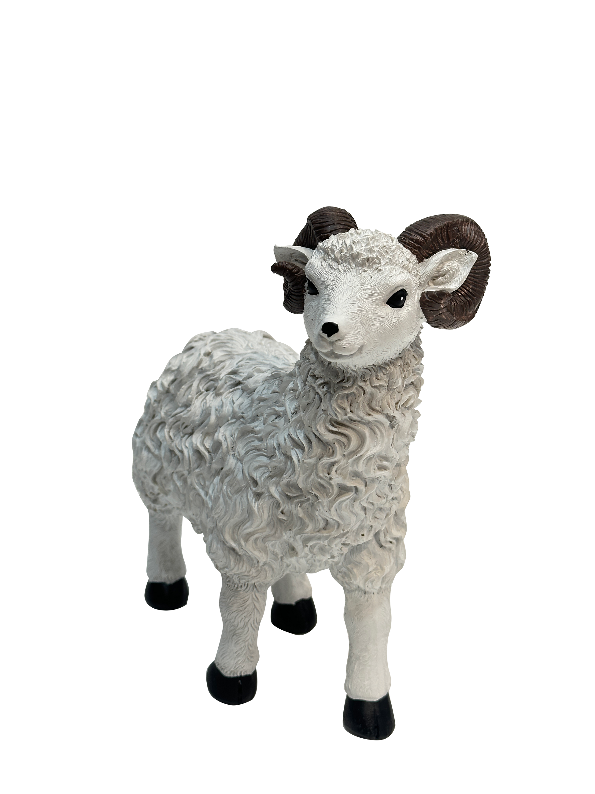 lamb With Black Rounded Horns - Sunset Gifts Store
