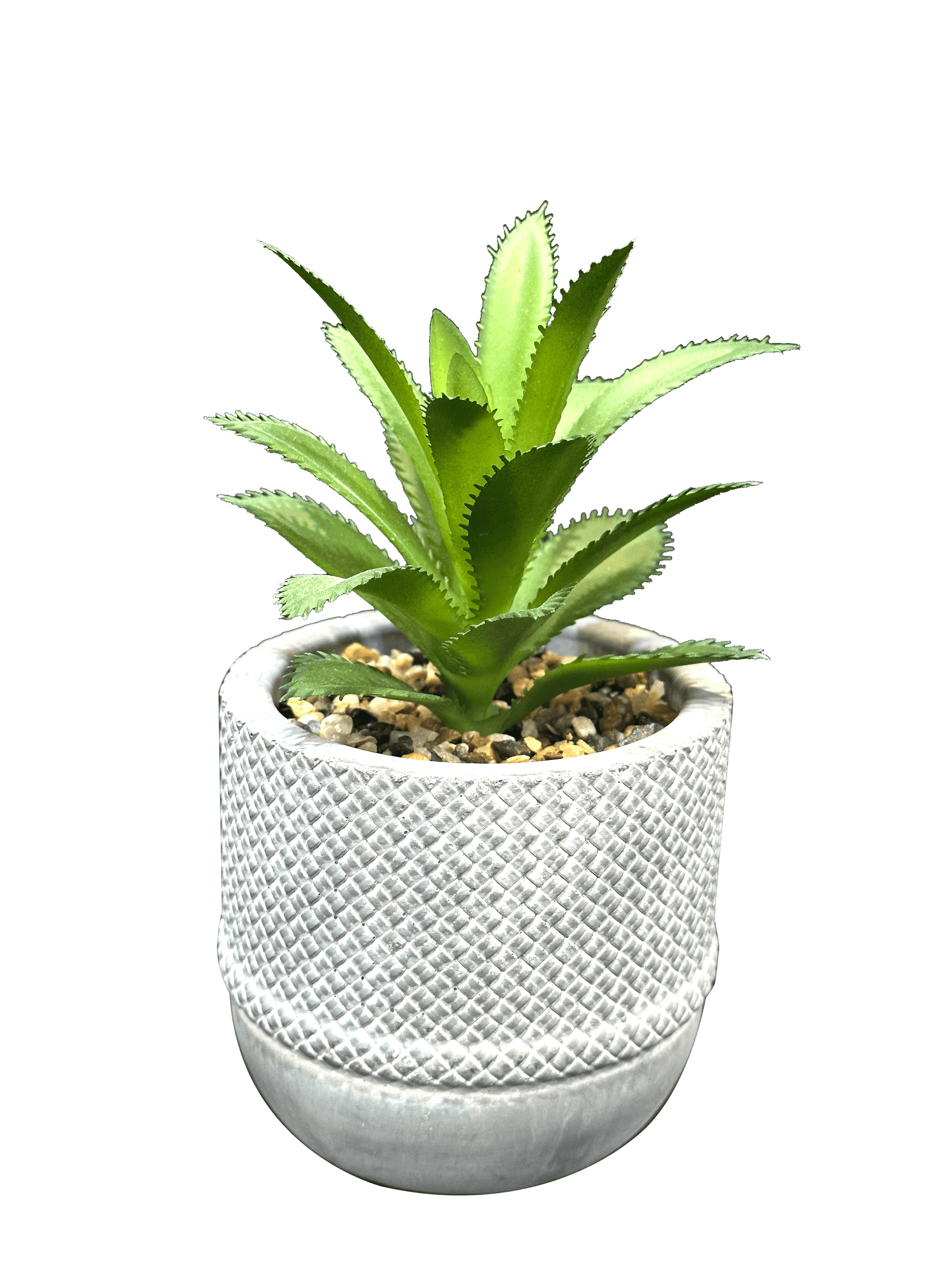 White Succulent Pots Planter (3 Pcs Set) - Sunset Gifts Store