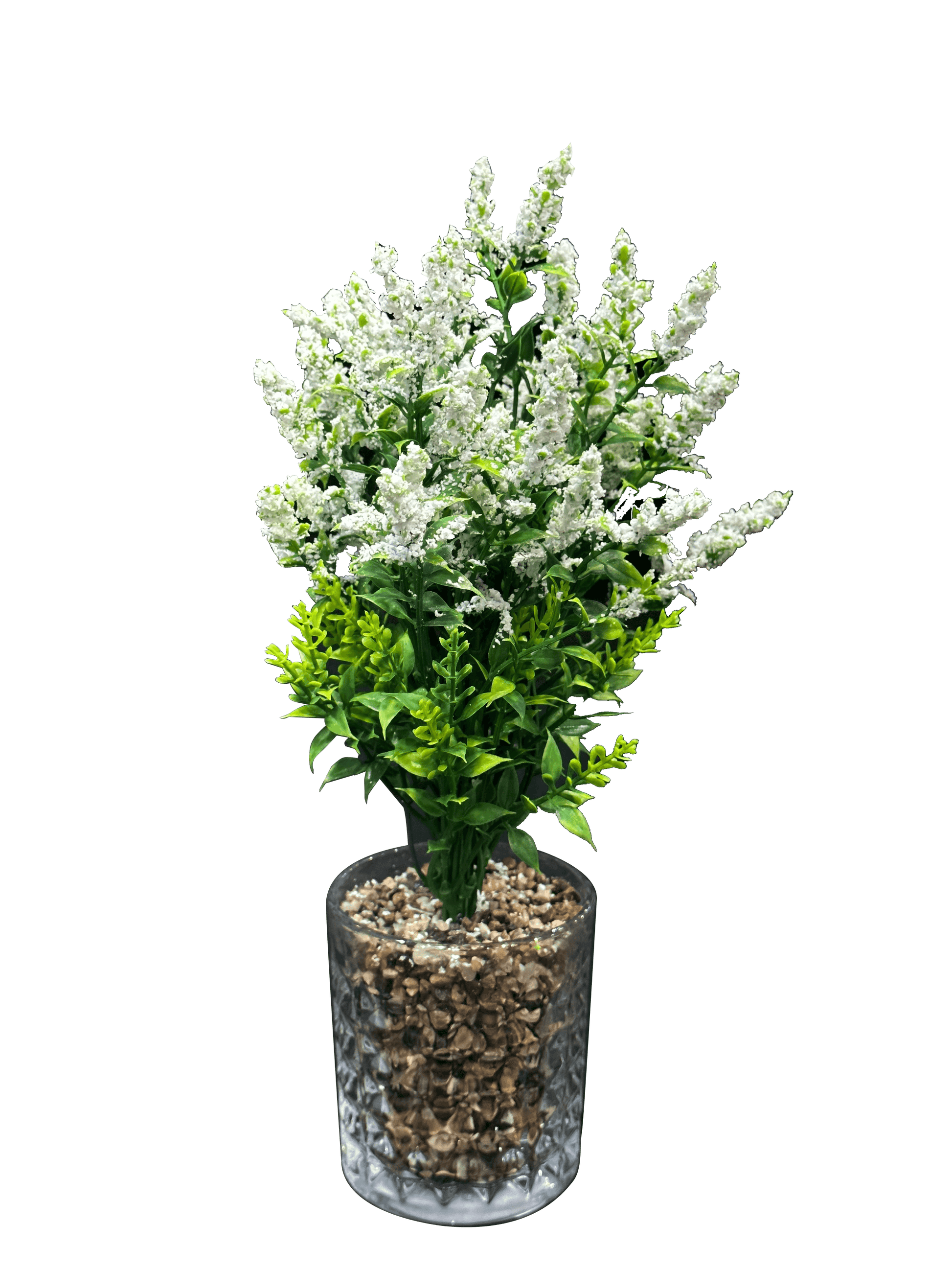 3 colored Lavendar Plants with Glass Pots (3 Pcs Set) - Sunset Gifts Store