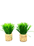 Green Artificial Plants with Brown Woven Pots (2 Pcs Set) - Sunset Gifts Store