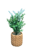 Green Artificial Plants With Brown Woven Pot (2 Pcs Set) - Sunset Gifts Store