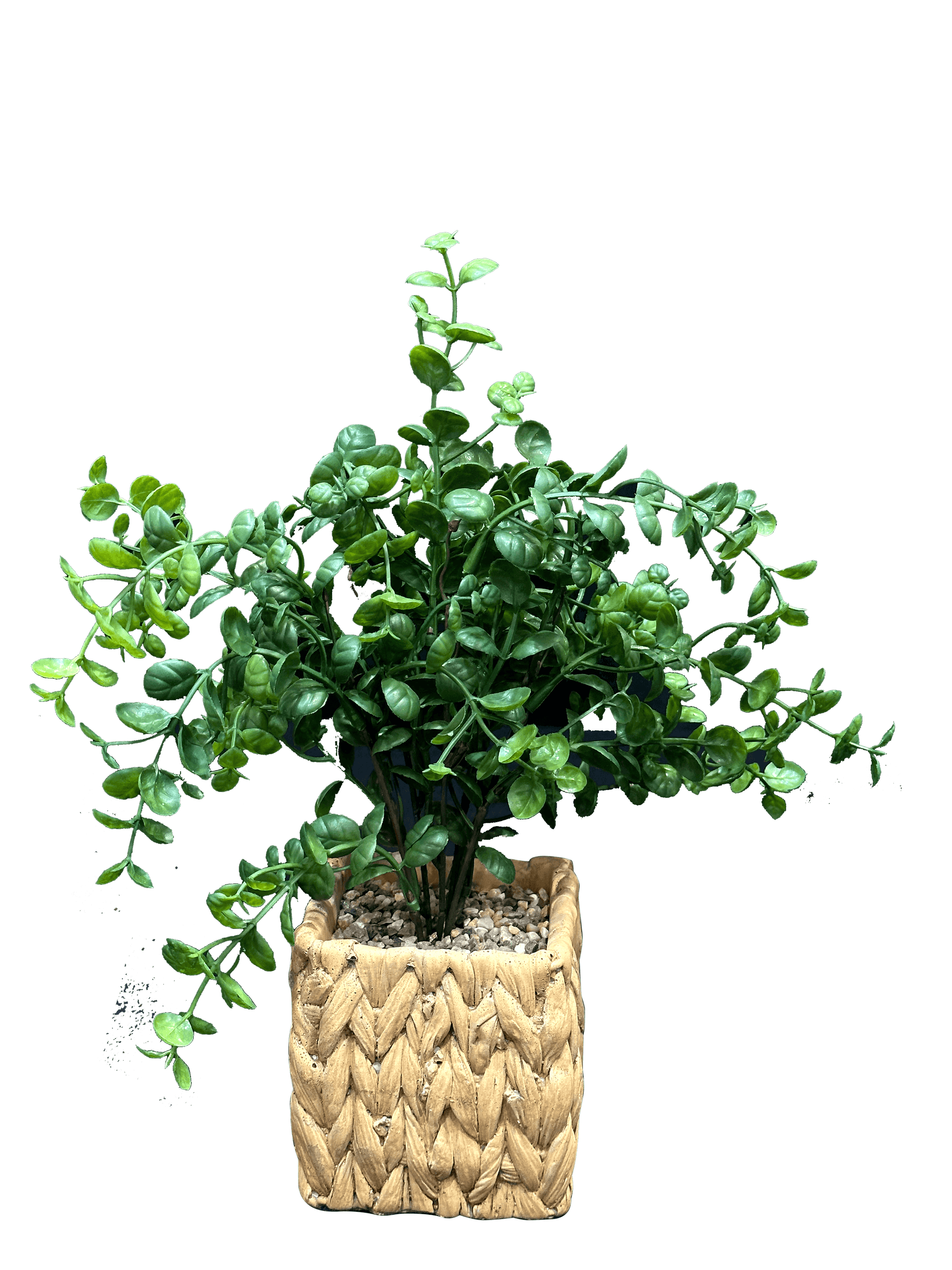 Artificial Herbs Woven Pots (2 Pcs Set) - Sunset Gifts Store