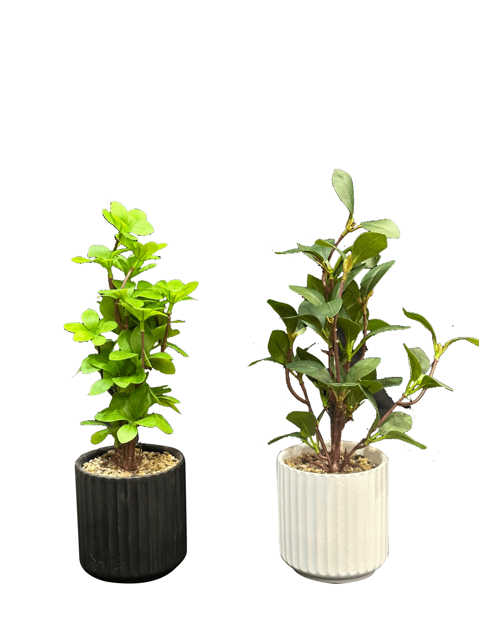 Artificial Plants with Black and White Ceramic Pots (2 Pcs Set) - Sunset Gifts Store