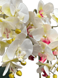 Orchid Flowers with White Glass Pots (2 Pcs Set) - Sunset Gifts Store