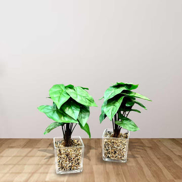 Artificial Syngonium Plants with Green Pots (2 Pcs Set) - Sunset Gifts Store