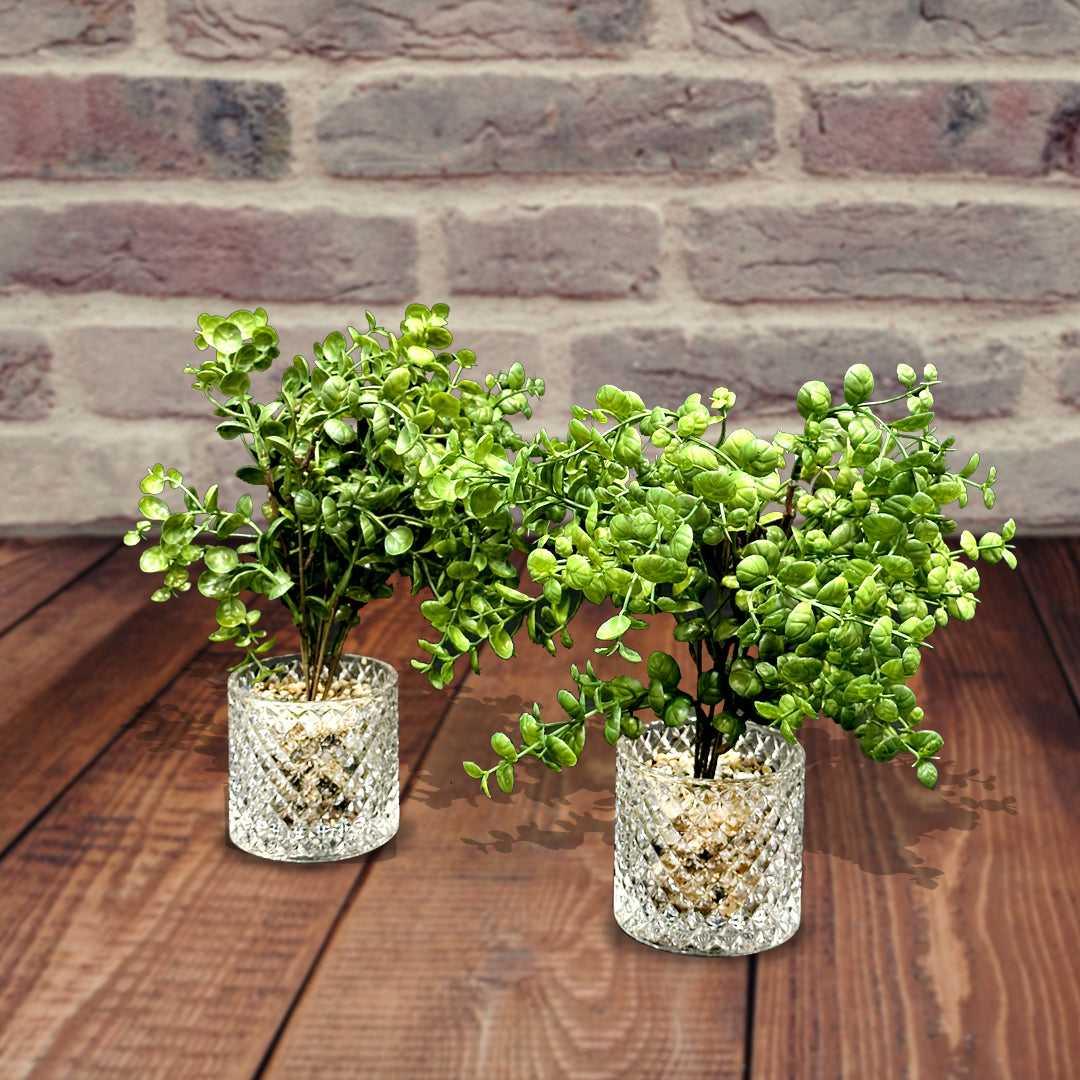 Artificial Plants with Glass Pots (2 Pcs Set) - Sunset Gifts Store