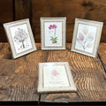 Garden Meadow Picture Frames - Sunset Gifts Store