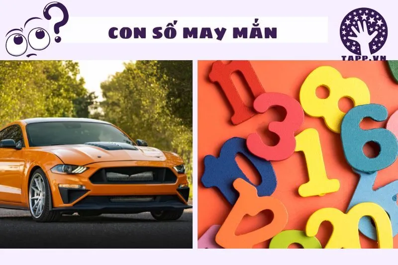 Các Con Số Liên Quan Đến Giấc Mơ Thấy Ô Tô