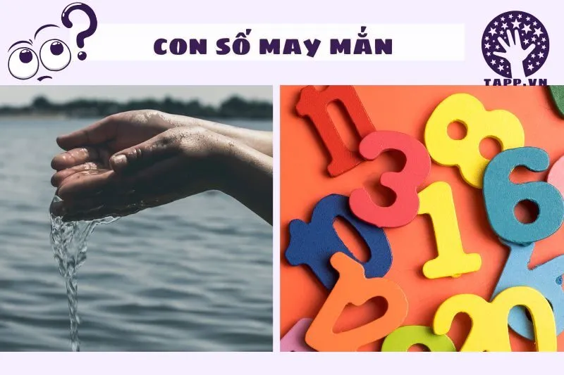 Các Con Số May Mắn Khi Nằm Mơ Thấy Nước