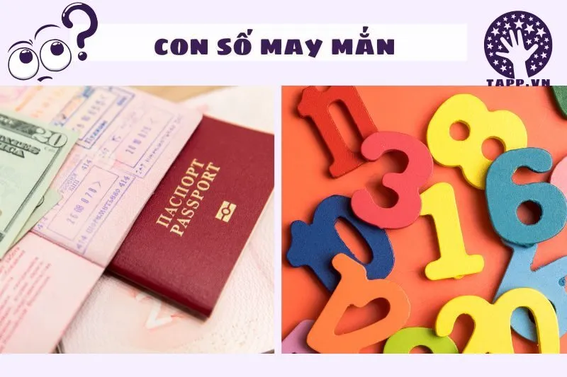 Các con số may mắn liên quan đến giấc mơ đi nước ngoài