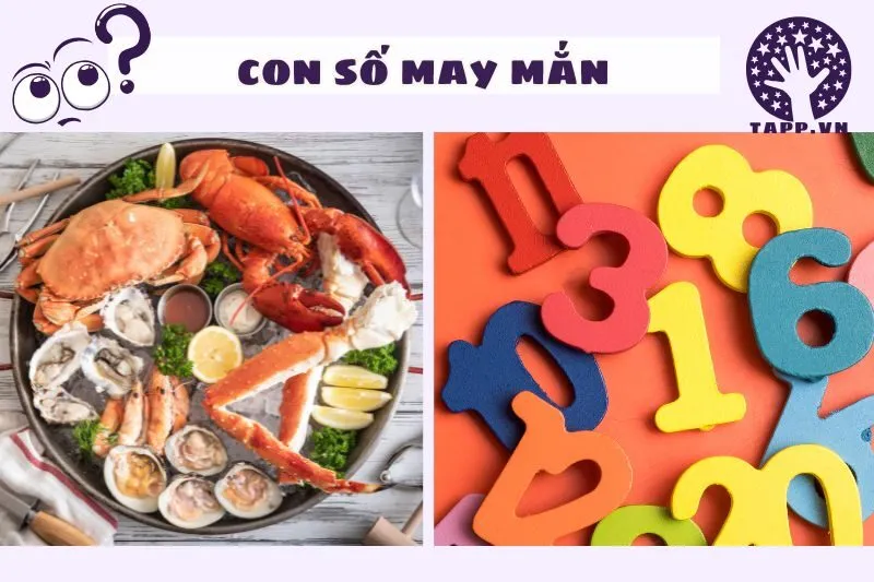 Các con số may mắn liên quan đến giấc mơ hải sản