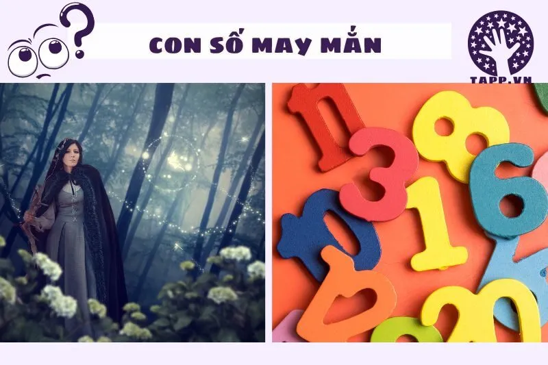 Các con số may mắn liên quan đến giấc mơ thần tiên