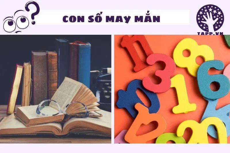 Các con số may mắn liên quan đến giấc mơ thấy sách