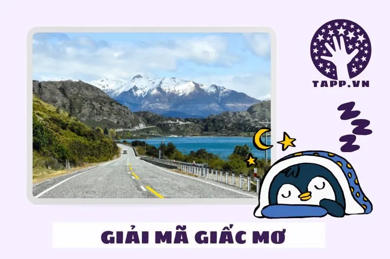 Các loại giấc mơ thấy con đường và điềm báo cụ thể