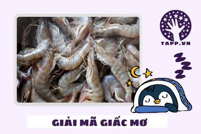 Các loại giấc mơ thấy tôm và điềm báo cụ thể