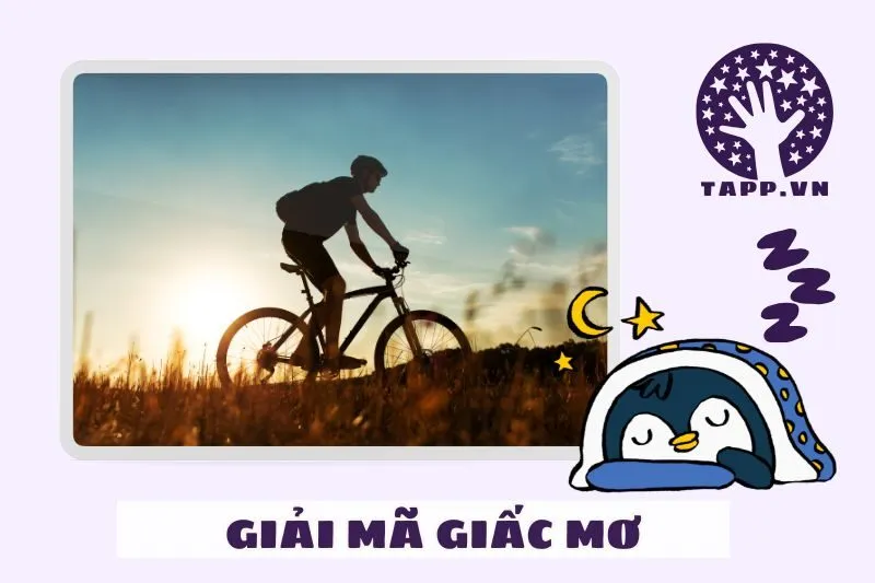 Các Loại Giấc Mơ Thấy Xe Đạp Và Điềm Báo Đi Kèm