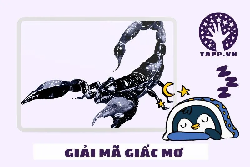 Các tình huống thường gặp khi nằm mơ thấy bò cạp và ý nghĩa của chúng