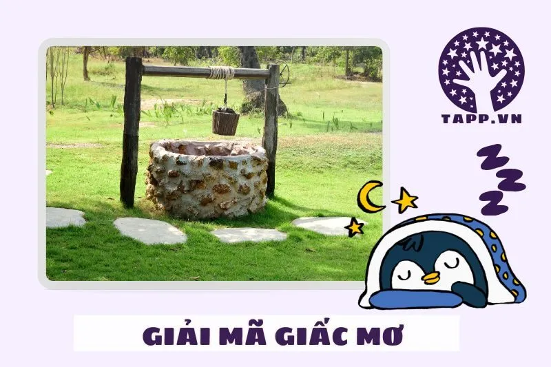 Các Trường Hợp Mơ Thấy Giếng Nước Thường Gặp Và Ý Nghĩa