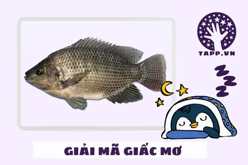 Cách giải tỏa lo lắng từ giấc mơ tiêu cực