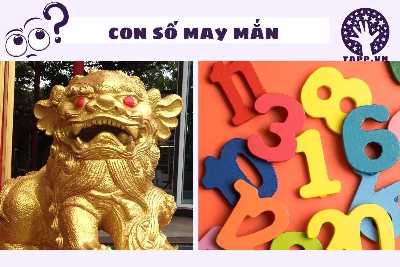 Cách Lựa Chọn Con Số May Mắn Khi Mơ Thấy Tỳ Hưu