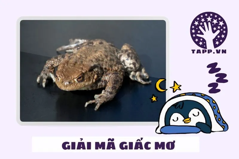 Cách nhìn nhận giấc mơ và tác động thực tế