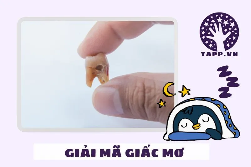 Cách ứng phó với giấc mơ rụng răng phù hợp với nhu cầu