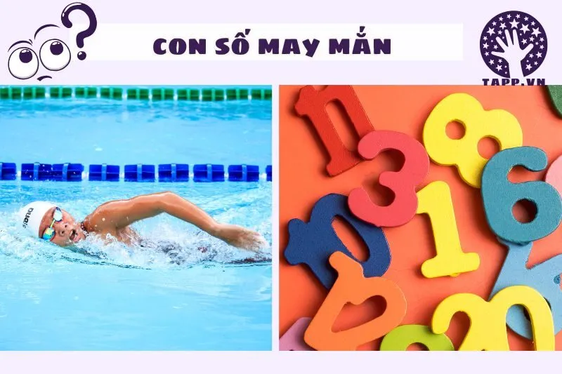 Con số may mắn gắn liền với giấc mơ thấy bơi lội