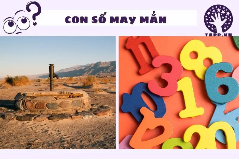 Con Số May Mắn Khi Mơ Thấy Giếng Nước