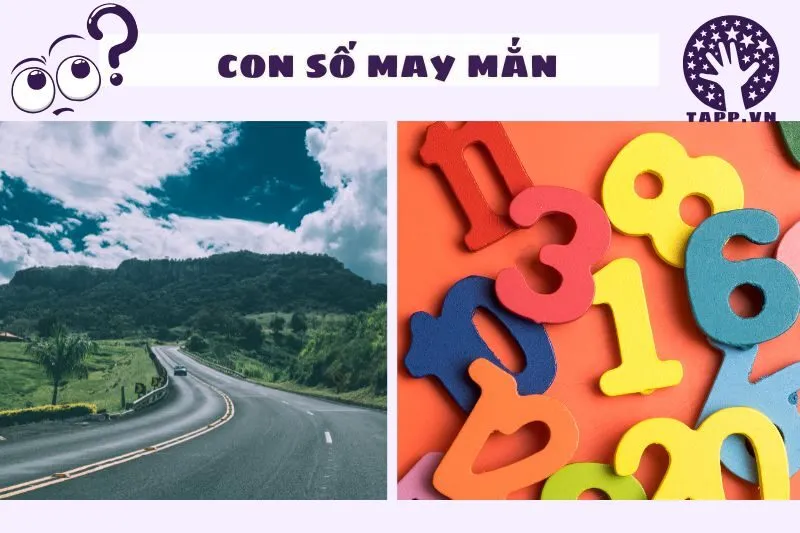 Con số may mắn khi nằm mơ thấy con đường