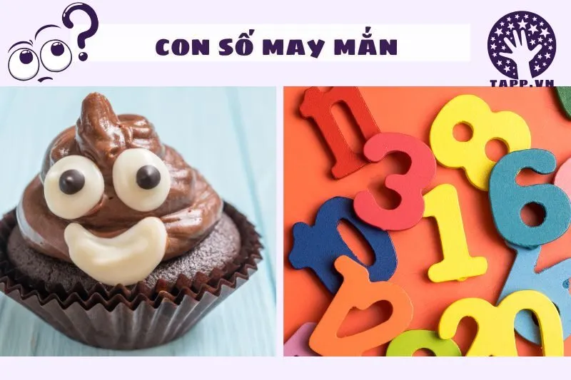 Con số may mắn khi nằm mơ thấy phân