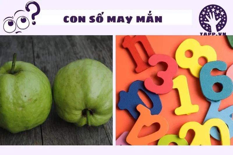 Con Số May Mắn Khi Nằm Mơ Thấy Trái Ổi