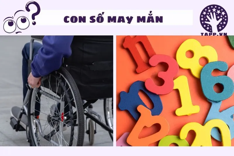 Con số may mắn khi nằm mơ thấy xe lăn