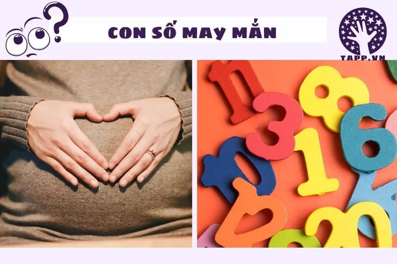 Con số may mắn liên quan đến giấc mơ có thai