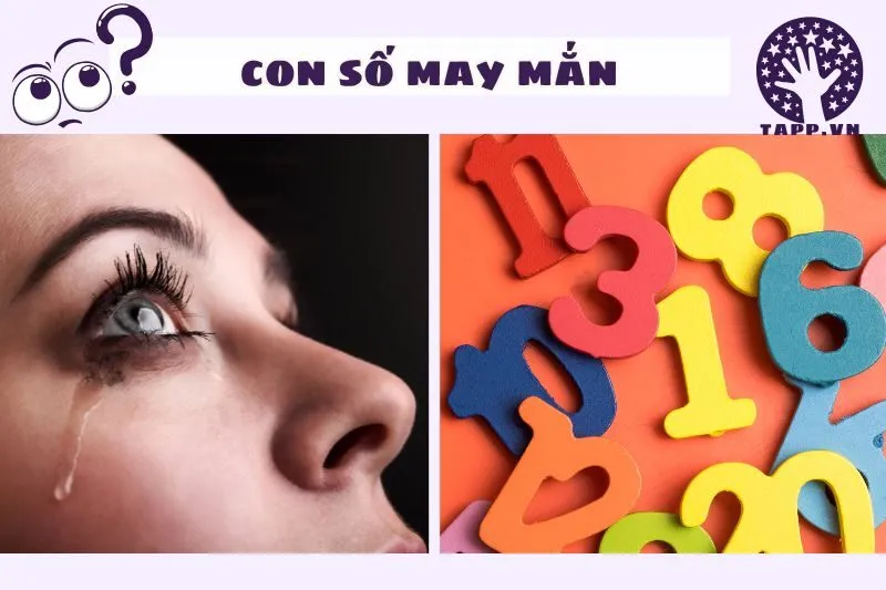 Con số may mắn liên quan đến giấc mơ khóc