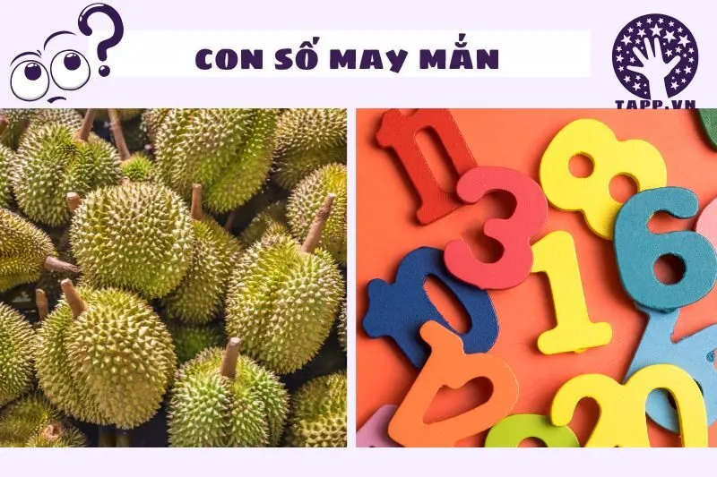 Con số may mắn liên quan đến giấc mơ sầu riêng