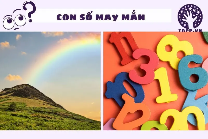 Con Số May Mắn Liên Quan Đến Giấc Mơ Thấy Cầu Vồng