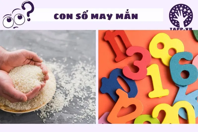 Con số may mắn liên quan đến giấc mơ thấy gạo