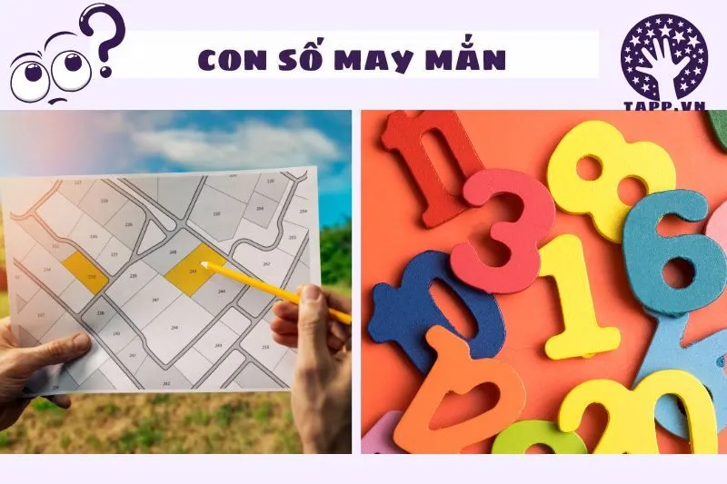 Con số may mắn liên quan đến giấc mơ thấy mua đất