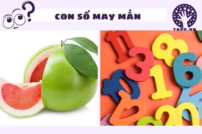 Con Số May Mắn Liên Quan Đến Giấc Mơ Thấy Quả Bưởi