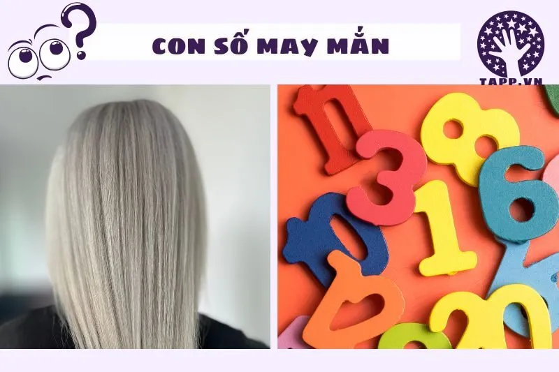 Con số may mắn liên quan đến giấc mơ thấy tóc bạc