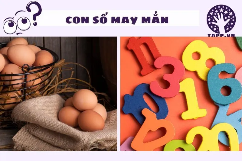 Con số may mắn liên quan đến giấc mơ thấy trứng