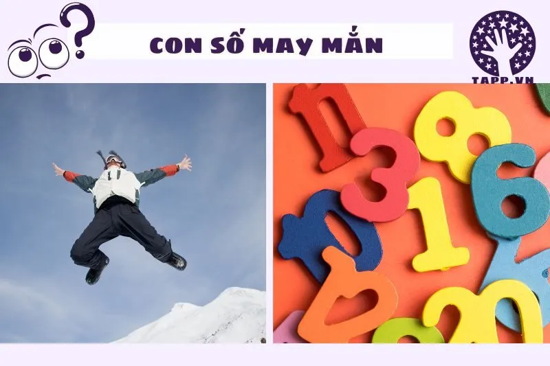 Con Số May Mắn Liên Quan Đến Nằm Mơ Thấy Mình Biết Bay