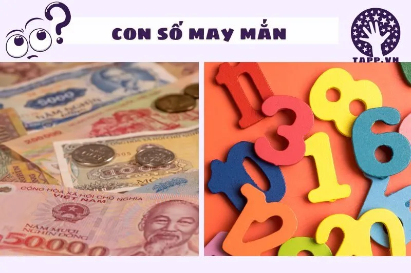 Con Số May Mắn Từ Giấc Mơ Thấy Tiền 50 Nghìn