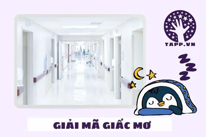 Điềm báo từ giấc mơ thấy bệnh viện và sức khỏe