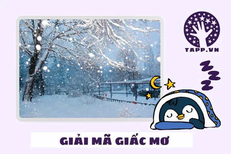 Điềm Báo Xấu Và Cách Ứng Phó Khi Mơ Thấy Tuyết