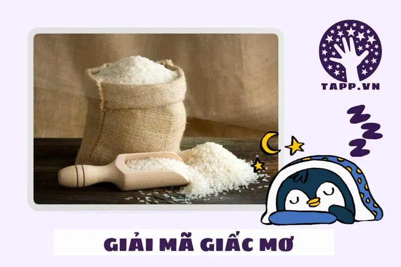 Giải mã các loại giấc mơ liên quan đến gạo