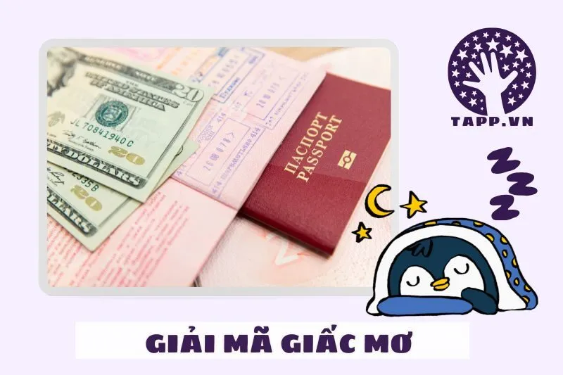 Giải Mã Các Loại Giấc Mơ Liên Quan Đến Việc Đi Nước Ngoài
