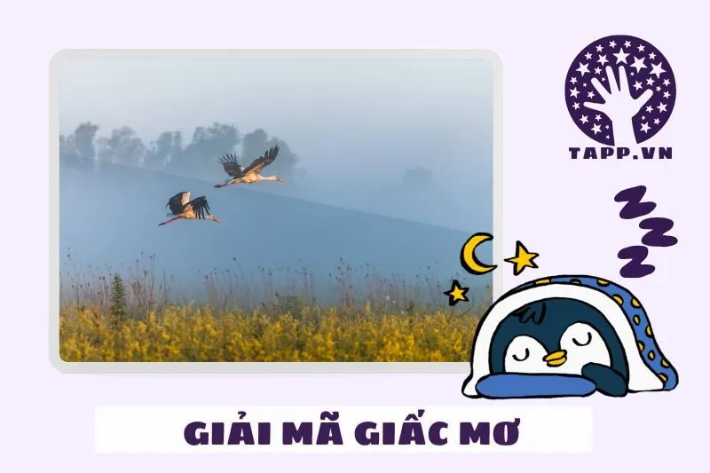 Giải Mã Các Tình Huống Cụ Thể Khi Nằm Mơ Thấy Con Cò