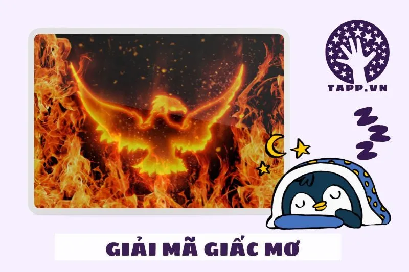 Giải mã các tình huống cụ thể khi nằm mơ thấy phượng hoàng